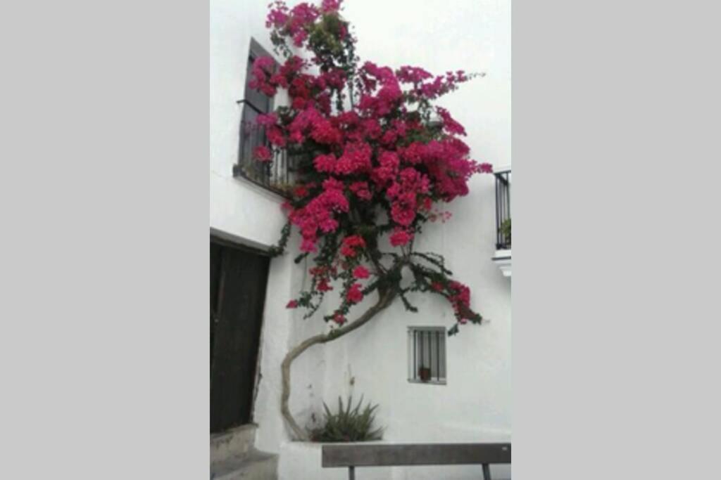Albayalde Cielo Y Mar Apartment Vejer de la Frontera Bagian luar foto